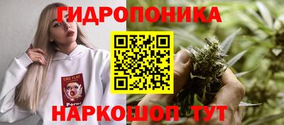 Альфа ПВП Татарск