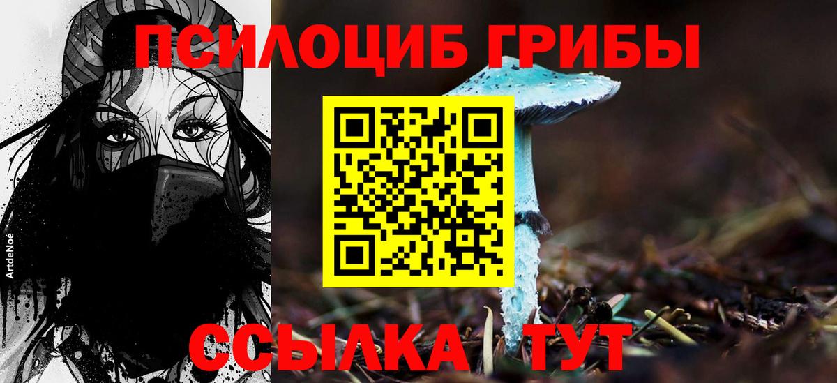 Псилоцибиновые грибы Cubensis  Вход с VPN  Псилоцибиновые грибы прущие грибы  Острогожск 