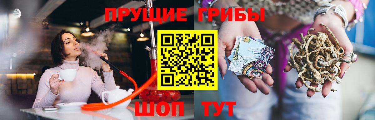 Галлюциногенные грибы Psilocybe Острогожск